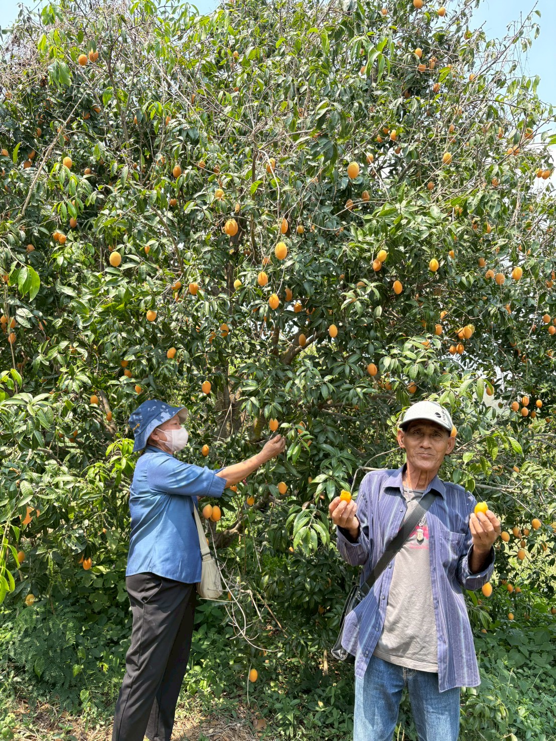 title - ส.ป.ก.นครปฐม จัดโครงการที่ดินพระราชทานในเขตปฏิรูปที่ดินจังหวัดนครปฐม ปีงบประมาณ พ.ศ. 2569 หลักสูตร การจัดการที่ดินและระบบการผลิตที่มีประสิทธิภาพ เพื่อเพิ่มโอกาสด้านการท่องเที่ยว ระยะที่ 3